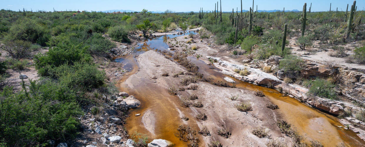 2025 WY Agua Caliente Title Photo