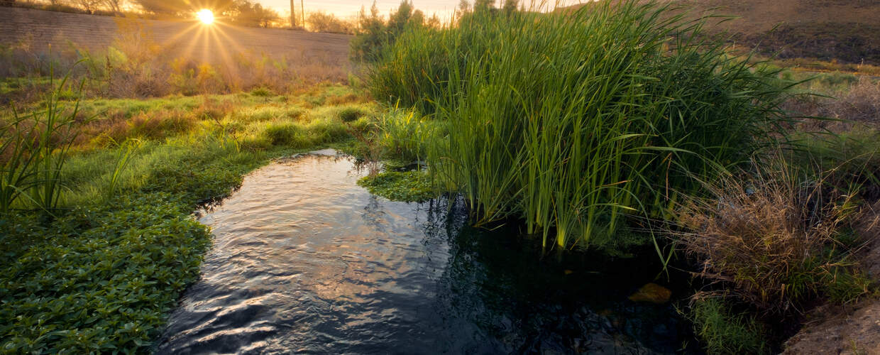 Santa Cruz River 2025 WY Title Photo