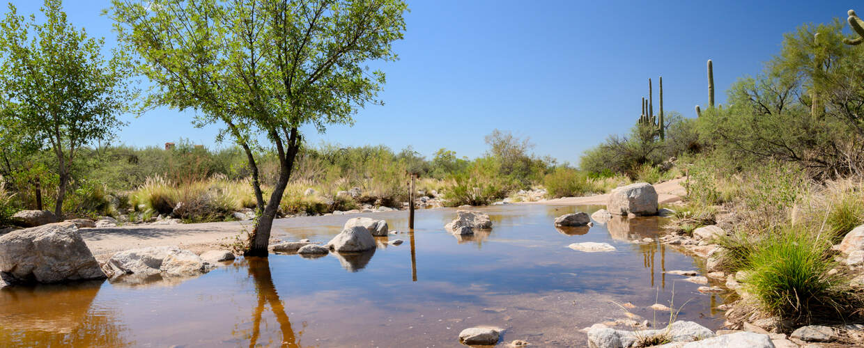 Agua Caliente near Milagrosa Lane 2025 WY Well Data Title Photo