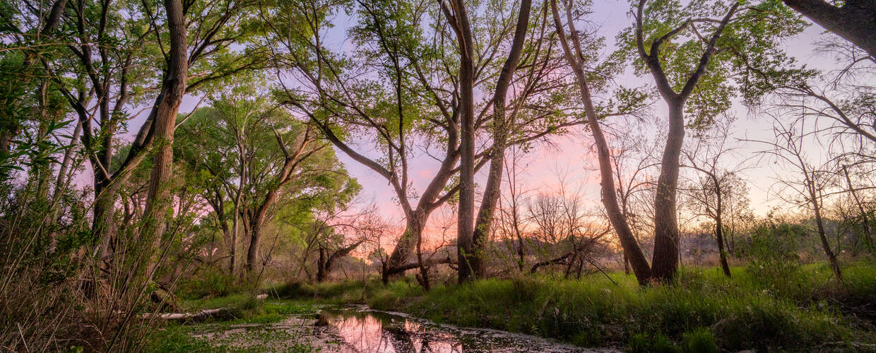 Cienega Creek 2025 WY Title Photo