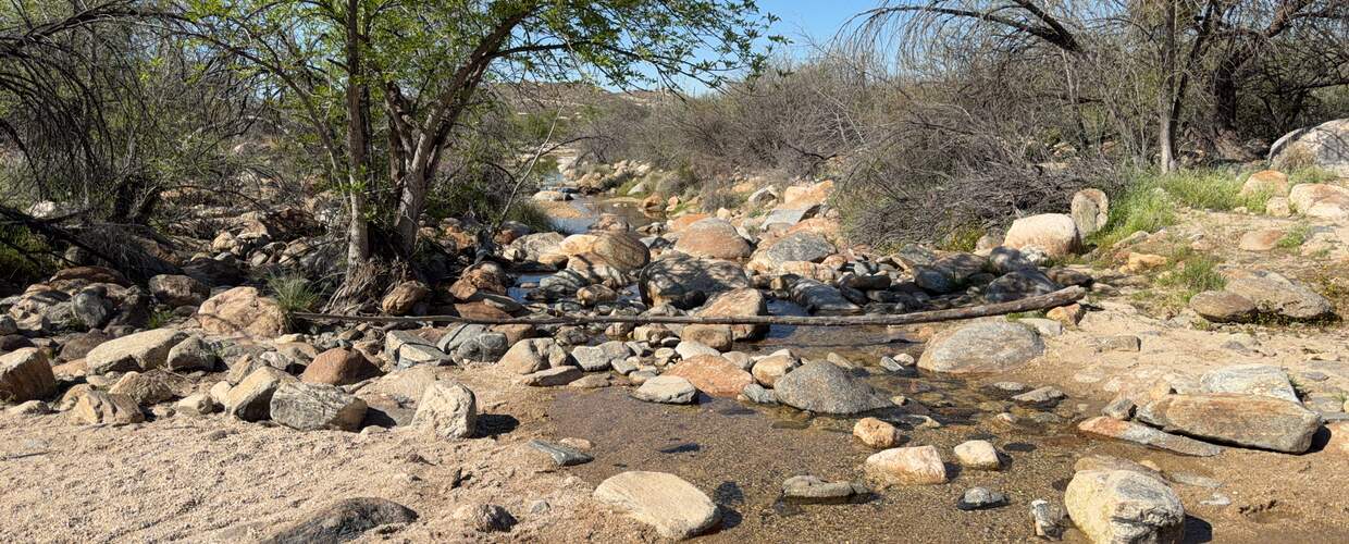 bear canyon creek 2022 wy