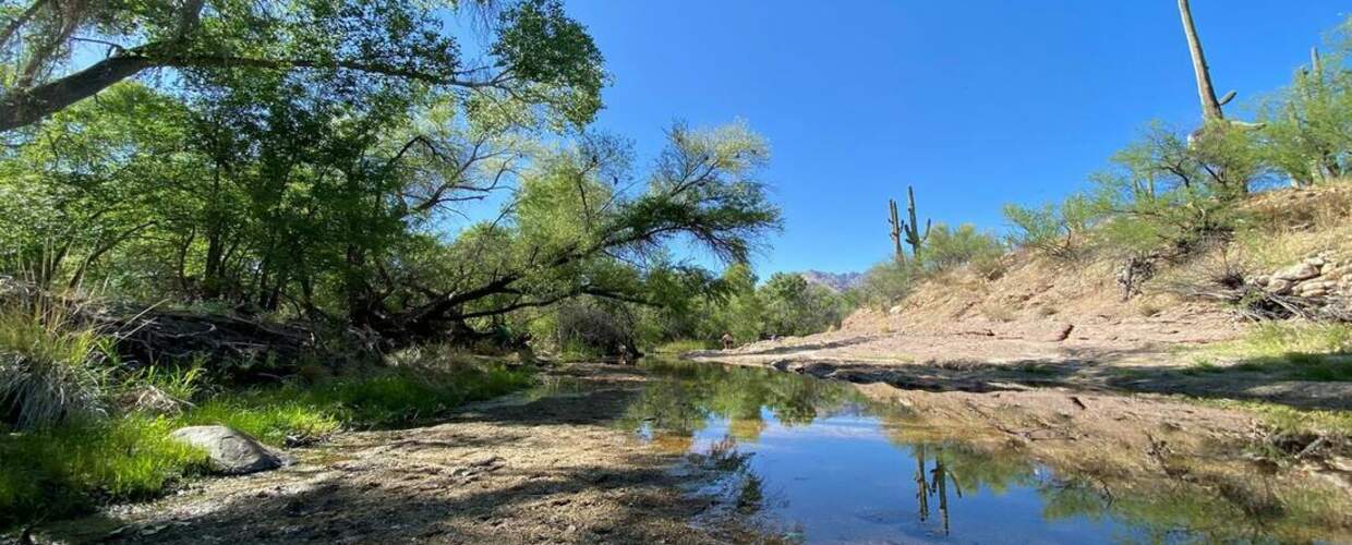 sabino creek 2022 wy title photo