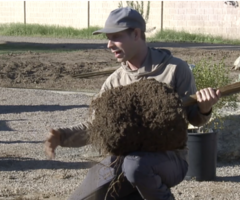 A man kneels holding the root ball of a tree in prep to plant it