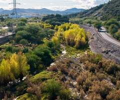 santa cruz river near irvington rd trees in the river with flow