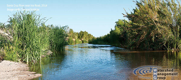 Taking the lead to secure water for the Santa Cruz River