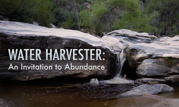 Water Harvester: An Invitation to Abundance by David Fenster