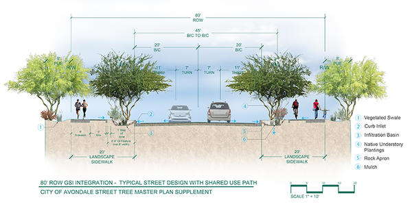 One of WMG’s standard roadway designs created for Avondale’s Street Tree Master Plan.