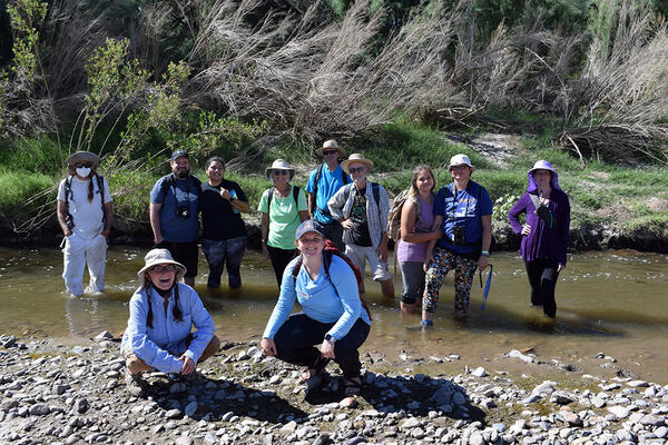 Santa Cruz Creek Walk Friends Flow Animal Tracks Watershed