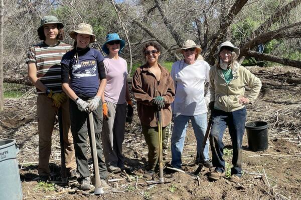 arundo removal group