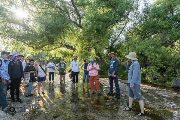 creek walk group in flow