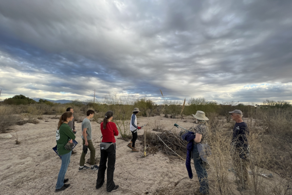 arundo removal group