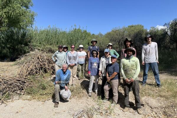 arundo removal group