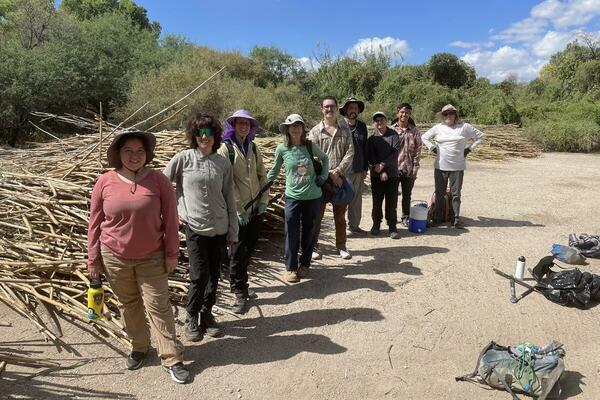 arundo removal group