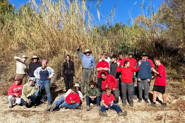 arundo removal group