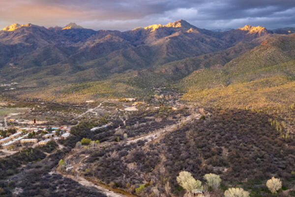 A view of Lower Sabino Creek 