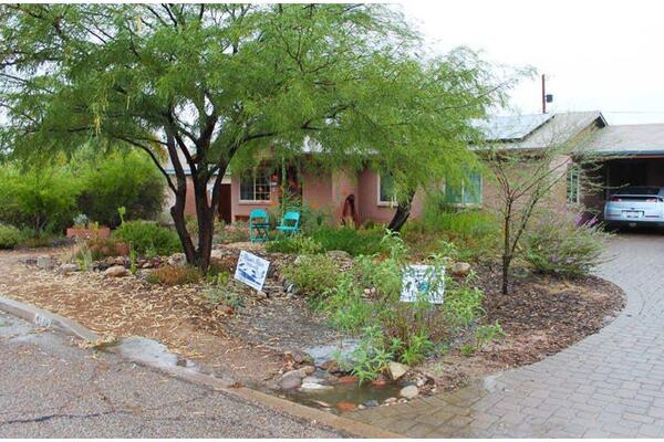 Front of home, with passive rainwater capture happening.