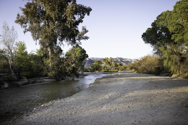 Flowing creek in late afternoon