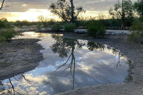 Rio Vista Natural Resource Park after a monsoon rain with restoration in progress - time to plant!