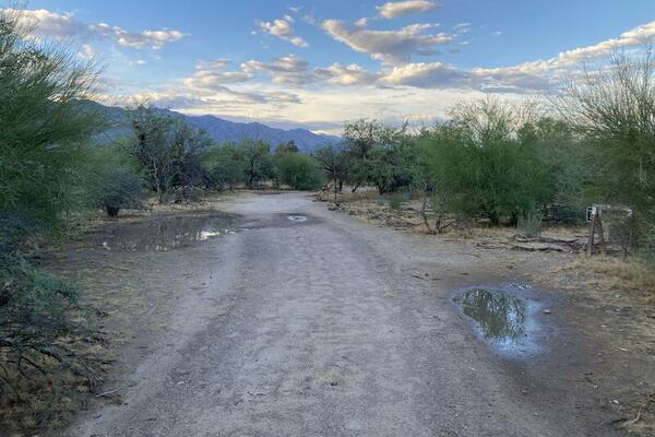 Rio Vista Natural Resource Park after a monsoon rain with restoration in progress - time to plant!