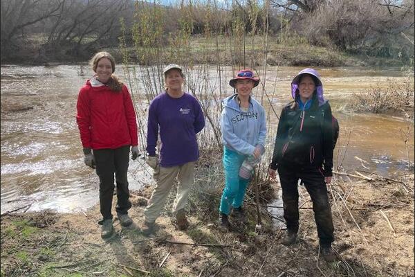 arundo removal group