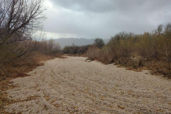 tanque verde creek fall