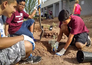 Children planting shrub at Wilson School