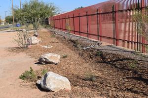 Rain gardens at Star Academic can harvest 90,000 gallons on rain.