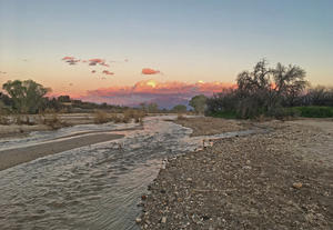 WMG is working with Pima County to restore flows and floodplains.