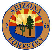 Arizona Forestry