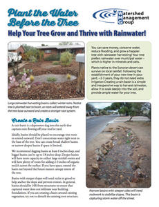 Plant the Water Before the Tree - Help Your Tree Grow and Thrive with Rainwater cover