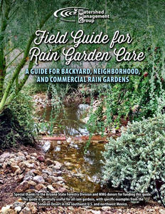 Guide to Rain Garden Care