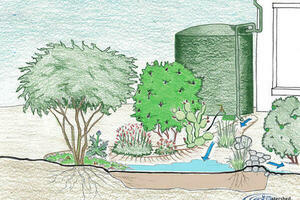 Rain Garden Illustration
