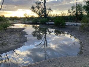 Rio Vista Natural Resource Park after a monsoon rain with restoration in progress - time to plant!