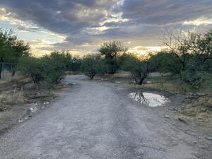 Rio Vista Natural Resource Park after a monsoon rain with restoration in progress - time to plant!