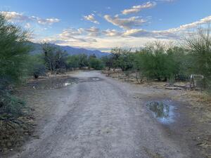 Rio Vista Natural Resource Park restoration in progress - time to plant!