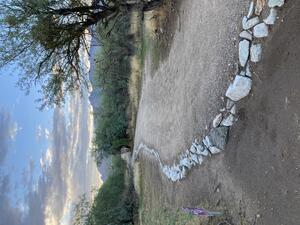 Rio Vista Natural Resource Park restoration in progress - time to plant!