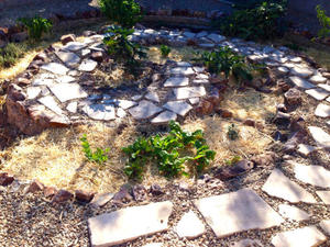 The homeowners here filled in an old pool and made an attractive garden out of it. Rainwater is stored nearby and used for irrigation.