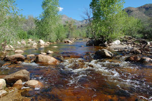 Sabino Creek