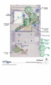Example landscape plan received after site consultation