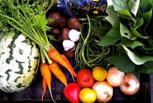 Beautiful bounty of local, organic produce from Sleeping Frog Farms.