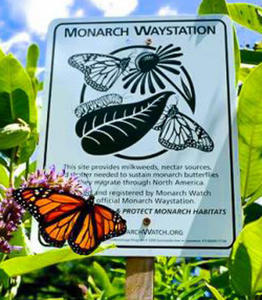 Official Monarch Waystation sign