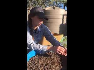Embedded thumbnail for How to Create Garden Soil from Sheet Mulching