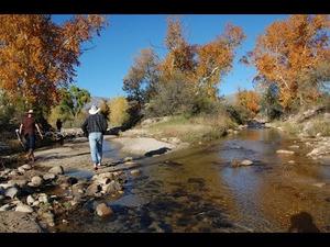 Embedded thumbnail for 200+ days of flow in Sabino Creek!