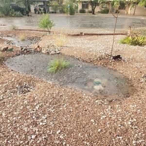 A basin at work during a Tucson downpour! Basins like this can reduce flooding and help to capture rainwater. Photo provided by Margaret L.