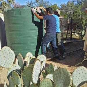 Rain tanks are the perfect way to provide year-round supplemental irrigation.