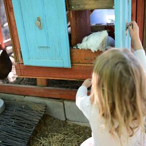 child opens door of chicken coop at the Living Lab
