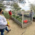 Las Milpitas Community Farm Tour