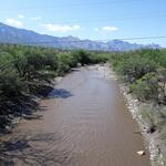 Canada del Oro at Edwin Rd, photo of flow