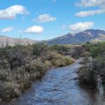 Agua Caliente at Houghton Rd, photo of flow
