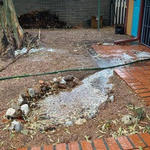 "Some backyard monsoon projects - a new basin..." - Peggy M.